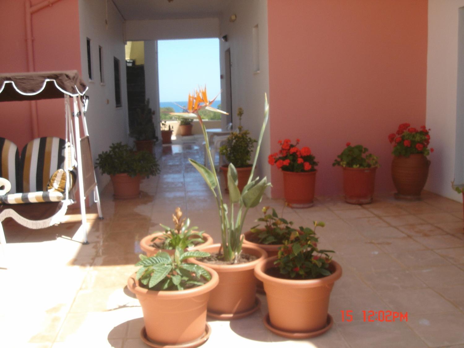 Iliaktida Apartments Rapaniana Bagian luar foto